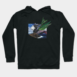 I don't fall, I have wings in my soul Hoodie